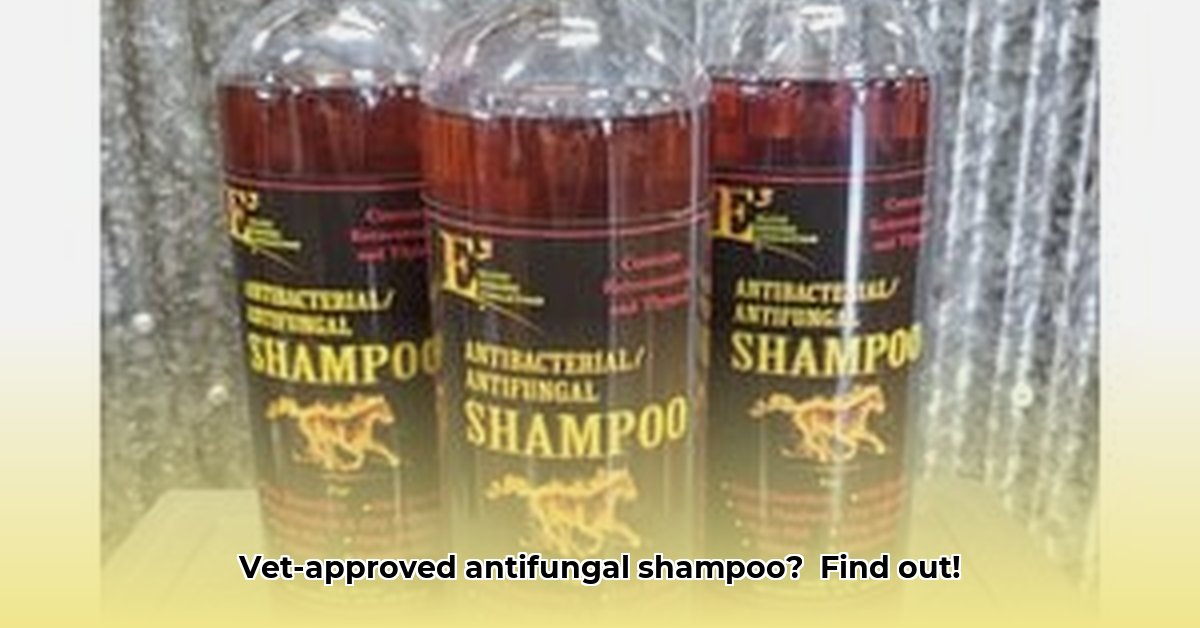 tractor-supply-antifungal-shampoo